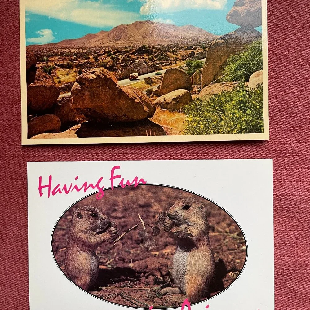 Vintage Lot of 12 Arizona Unused Postcards